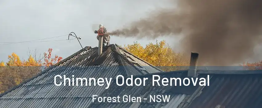 Chimney Odor Removal Forest Glen - NSW
