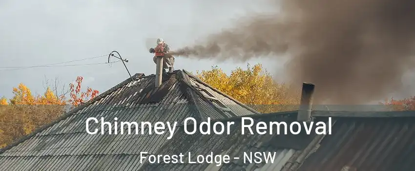 Chimney Odor Removal Forest Lodge - NSW