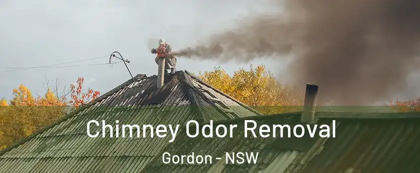 Chimney Odor Removal Gordon - NSW