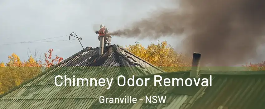 Chimney Odor Removal Granville - NSW