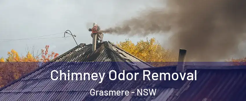 Chimney Odor Removal Grasmere - NSW