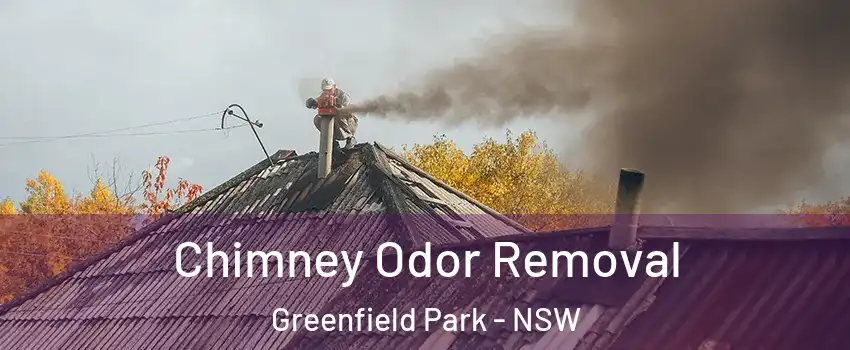 Chimney Odor Removal Greenfield Park - NSW