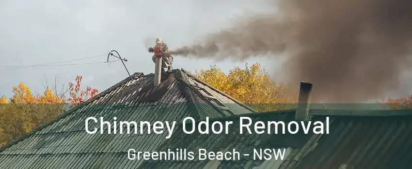 Chimney Odor Removal Greenhills Beach - NSW