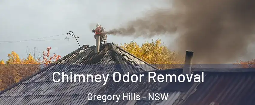 Chimney Odor Removal Gregory Hills - NSW