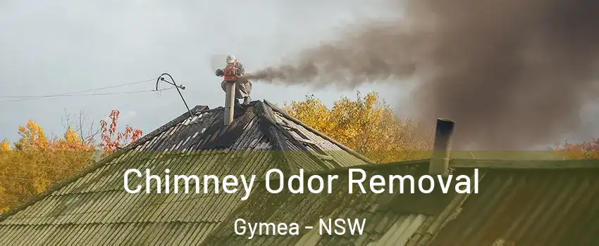 Chimney Odor Removal Gymea - NSW
