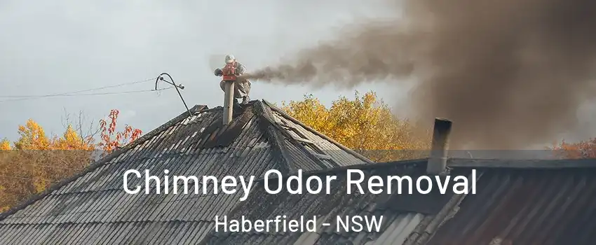 Chimney Odor Removal Haberfield - NSW