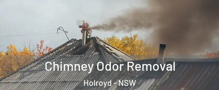 Chimney Odor Removal Holroyd - NSW