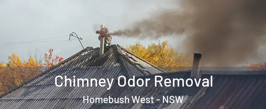 Chimney Odor Removal Homebush West - NSW