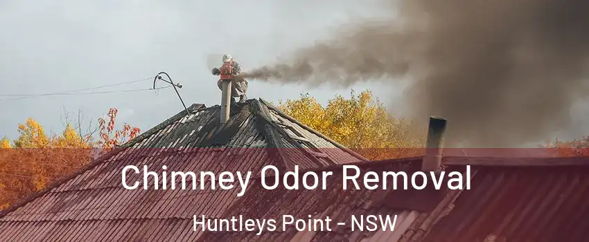 Chimney Odor Removal Huntleys Point - NSW