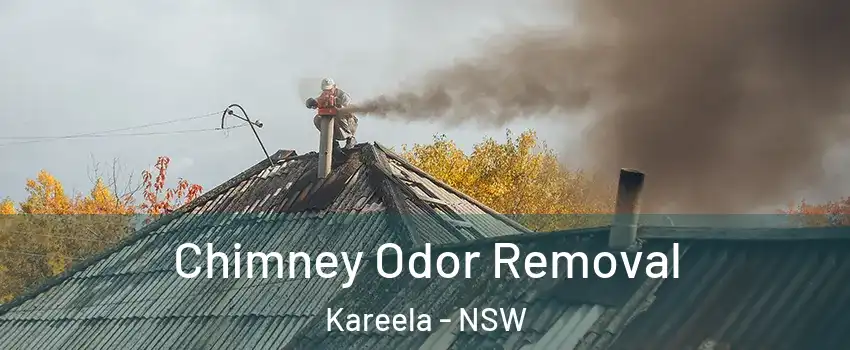 Chimney Odor Removal Kareela - NSW