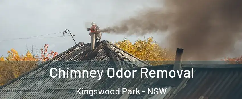 Chimney Odor Removal Kingswood Park - NSW