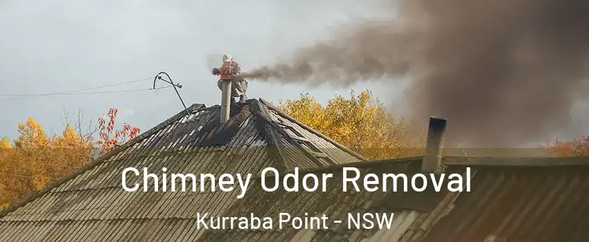 Chimney Odor Removal Kurraba Point - NSW