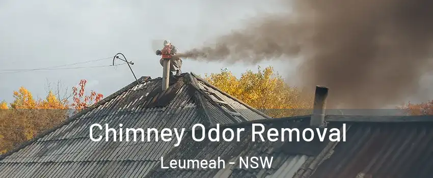 Chimney Odor Removal Leumeah - NSW