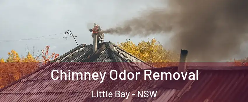 Chimney Odor Removal Little Bay - NSW