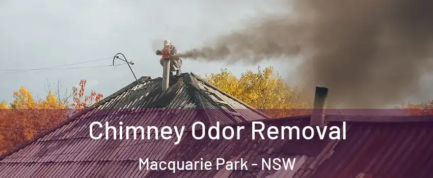 Chimney Odor Removal Macquarie Park - NSW