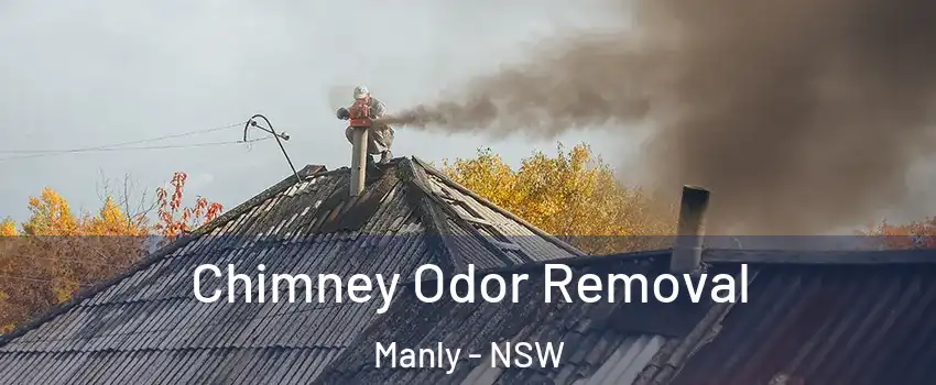 Chimney Odor Removal Manly - NSW