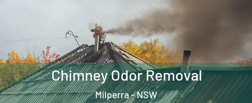 Chimney Odor Removal Milperra - NSW