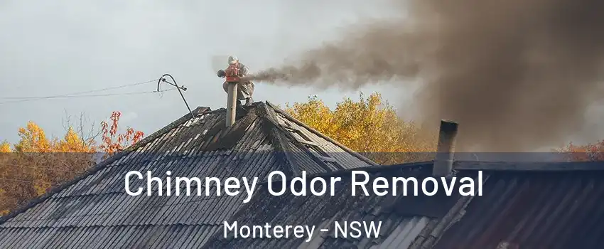 Chimney Odor Removal Monterey - NSW