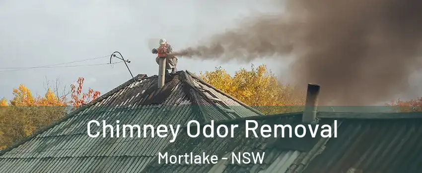 Chimney Odor Removal Mortlake - NSW