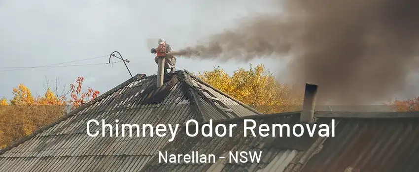 Chimney Odor Removal Narellan - NSW