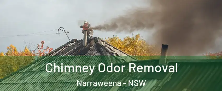 Chimney Odor Removal Narraweena - NSW