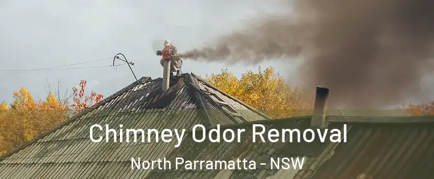 Chimney Odor Removal North Parramatta - NSW