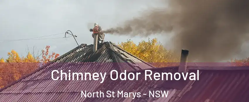 Chimney Odor Removal North St Marys - NSW