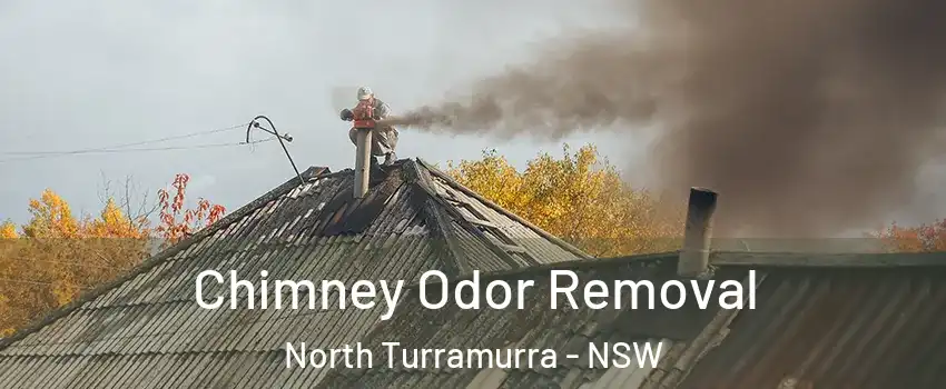 Chimney Odor Removal North Turramurra - NSW