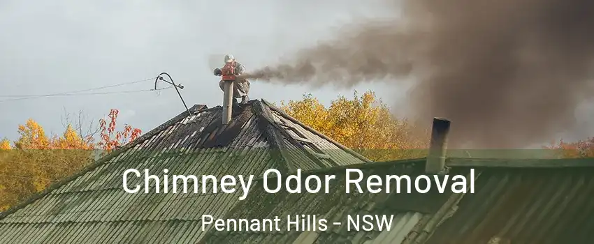 Chimney Odor Removal Pennant Hills - NSW