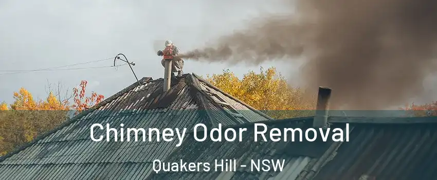 Chimney Odor Removal Quakers Hill - NSW