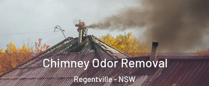 Chimney Odor Removal Regentville - NSW
