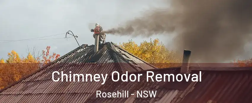 Chimney Odor Removal Rosehill - NSW