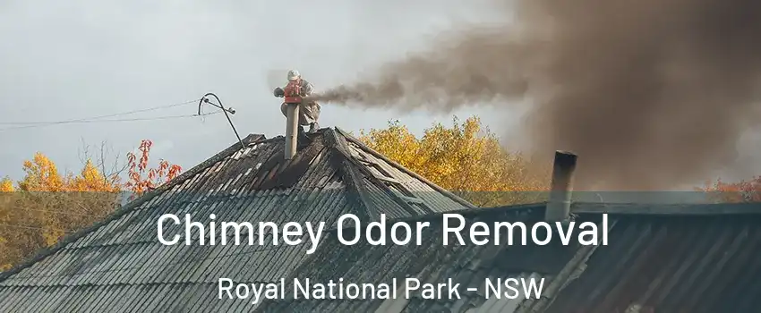 Chimney Odor Removal Royal National Park - NSW