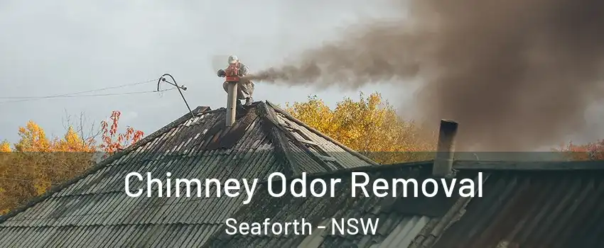 Chimney Odor Removal Seaforth - NSW