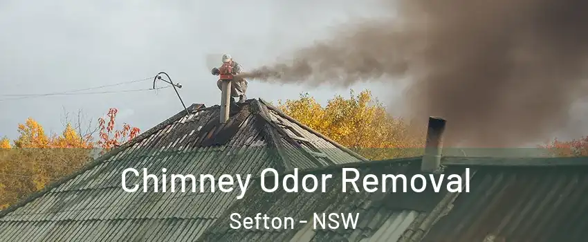 Chimney Odor Removal Sefton - NSW