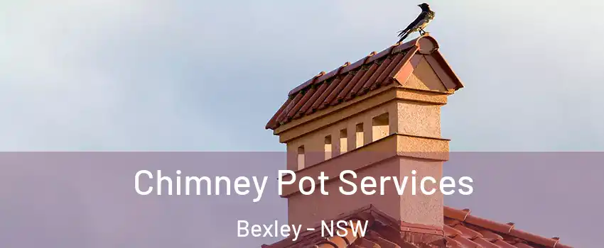 Chimney Pot Services Bexley - NSW