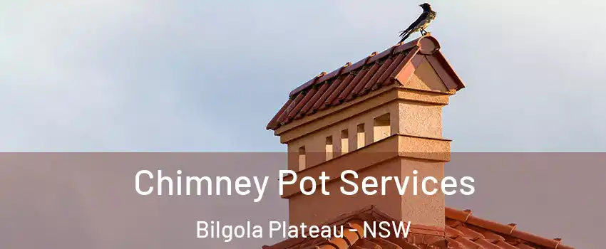 Chimney Pot Services Bilgola Plateau - NSW