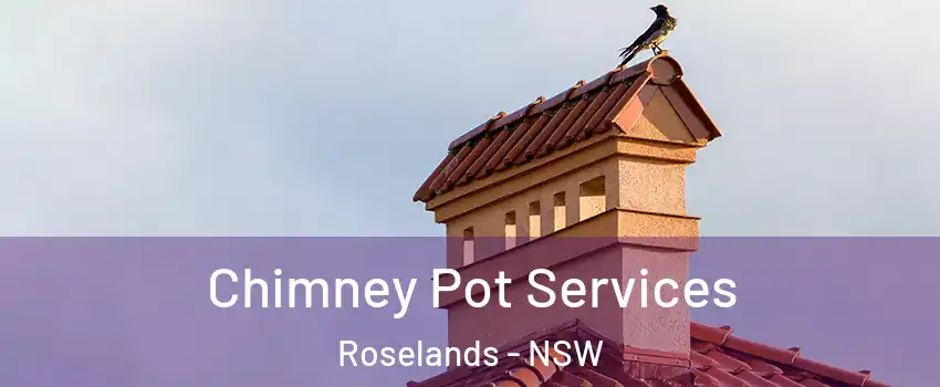 Chimney Pot Services Roselands - NSW