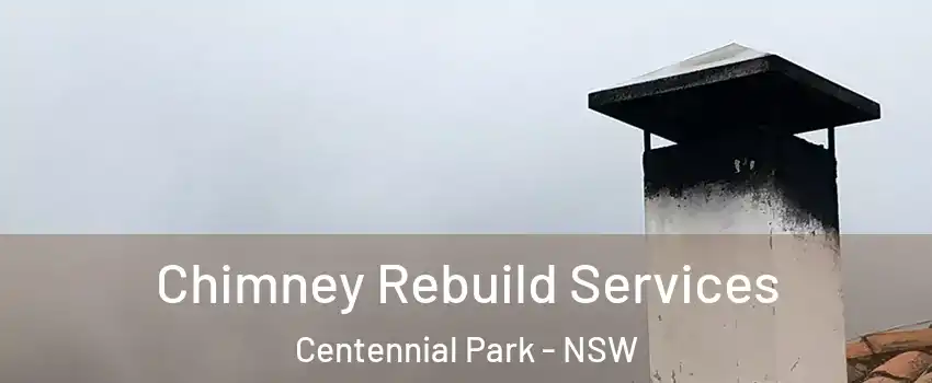 Chimney Rebuild Services Centennial Park - NSW