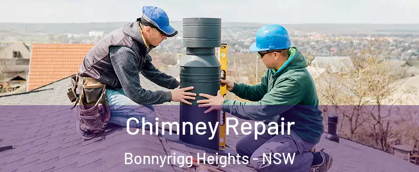Chimney Repair Bonnyrigg Heights - NSW