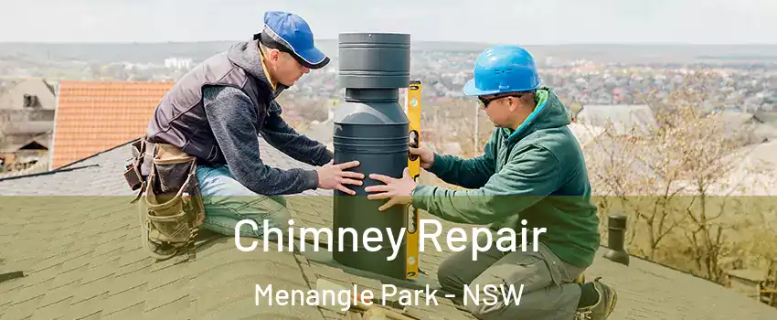 Chimney Repair Menangle Park - NSW