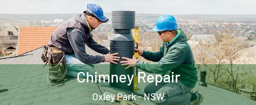 Chimney Repair Oxley Park - NSW
