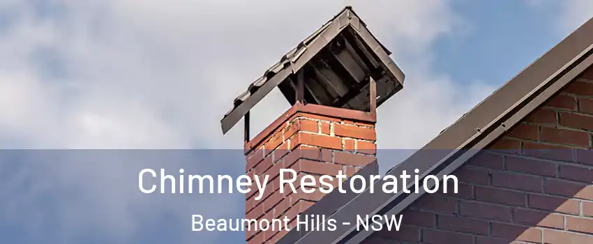 Chimney Restoration Beaumont Hills - NSW