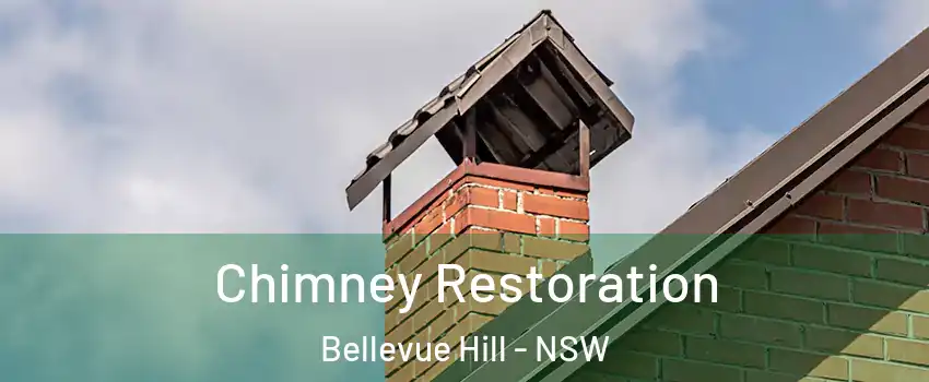 Chimney Restoration Bellevue Hill - NSW