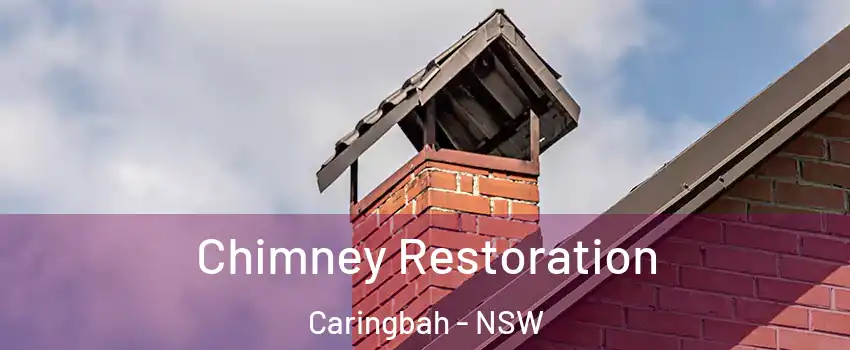  Chimney Restoration Caringbah - NSW