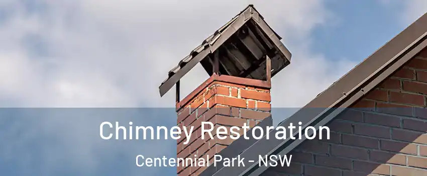 Chimney Restoration Centennial Park - NSW