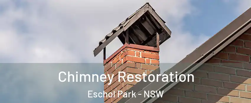 Chimney Restoration Eschol Park - NSW