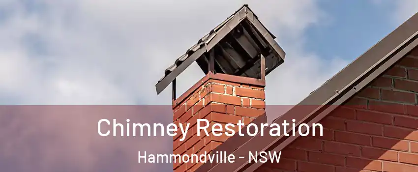 Chimney Restoration Hammondville - NSW