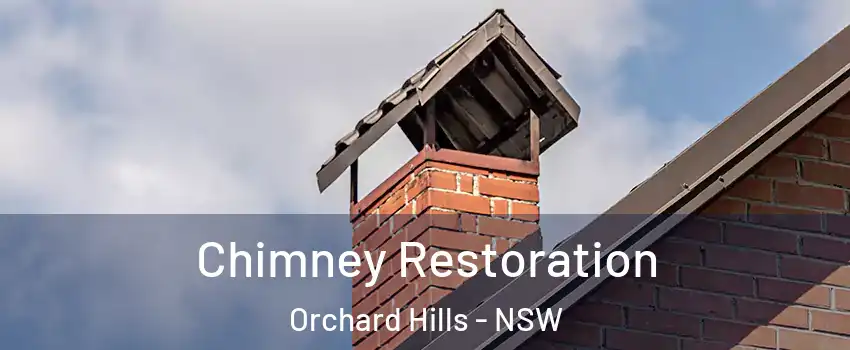 Chimney Restoration Orchard Hills - NSW