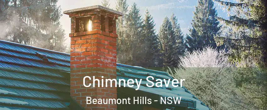 Chimney Saver Beaumont Hills - NSW